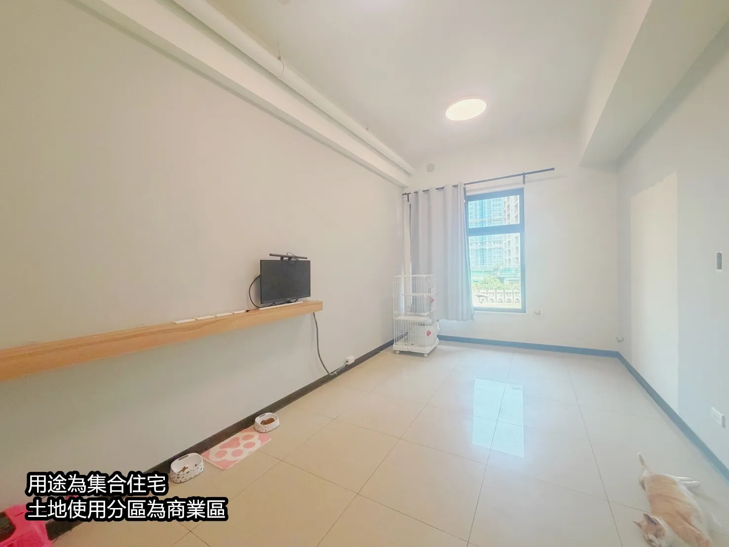 目前沒有圖片